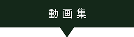 動画集
